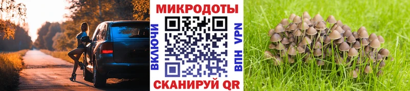 купить цена Ковдор Галлюциногенные грибы мухоморы